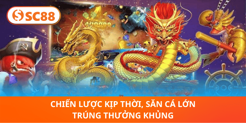Chiến Lược Kịp Thời, Săn Cá Lớn Trúng Thưởng Khủng